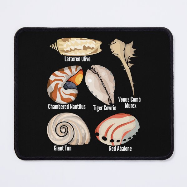 Item preview, Types Of Seashells Lover Kids Shelling Beach Seashell designed and sold by DSWShirts.