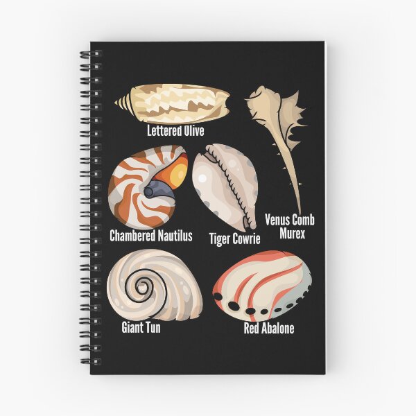 Item preview, Types Of Seashells Lover Kids Shelling Beach Seashell designed and sold by DSWShirts.