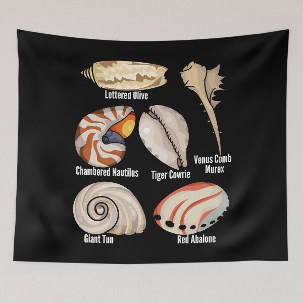 Item preview, Types Of Seashells Lover Kids Shelling Beach Seashell designed and sold by DSWShirts.