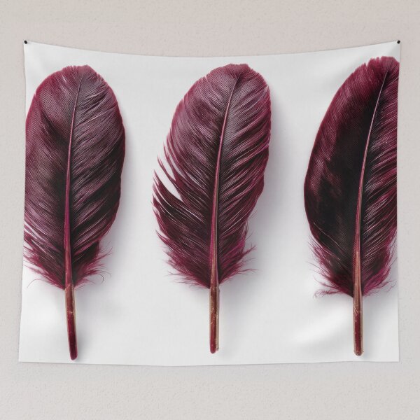 Item preview, Deep red feathers in a row display designed and sold by anytka.