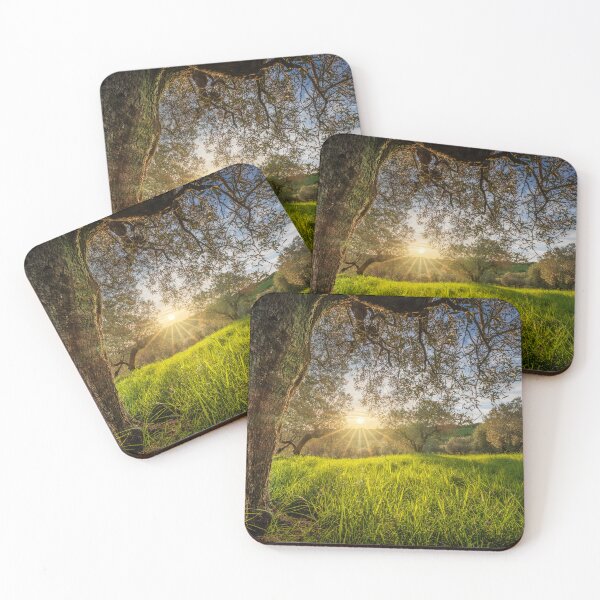 Item preview, The Old Olive Tree at Sunset, Tuscany designed and sold by Stefano Orazzini.