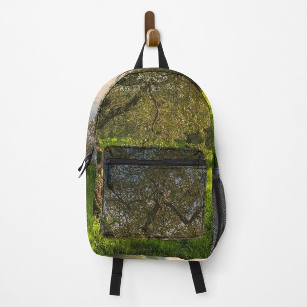 Item preview, Ancient Olive Grove in Alta Maremma at Sunset designed and sold by Stefano Orazzini.