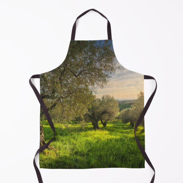 Item preview, Ancient Olive Grove in Alta Maremma at Sunset designed and sold by Stefano Orazzini.