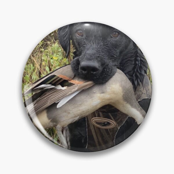 Artikelvorschau, Pintail-Lieferservice entworfen und verkauft von Huntingworld57.