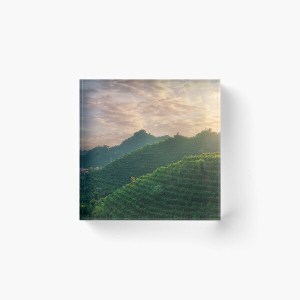 Item preview, Vineyards of Prosecco at sunset, Valdobbiadene designed and sold by Stefano Orazzini.