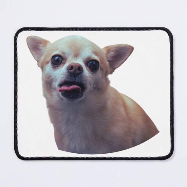 Item preview, Silly Chihuahua designed and sold by Studio Sonders.