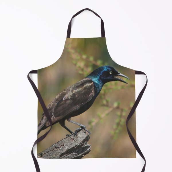 Item preview, The common grackle, a dark-colored bird designed and sold by Production Art Manon Meilleur.