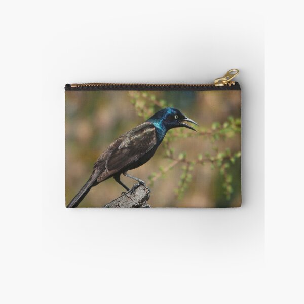 Item preview, The common grackle, a dark-colored bird designed and sold by Production Art Manon Meilleur.