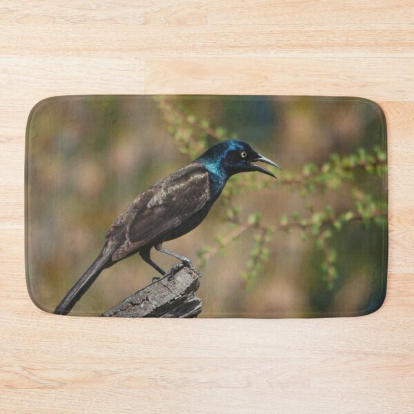 Item preview, The common grackle, a dark-colored bird designed and sold by Production Art Manon Meilleur.