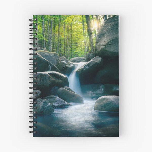 Item preview, Mystical Forest Stream in Tuscany Apennines designed and sold by Stefano Orazzini.