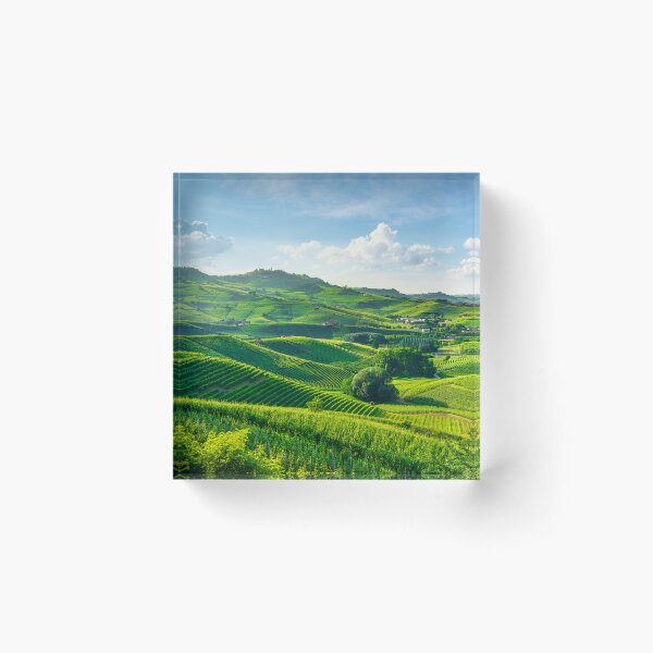 Item preview, Rolling Vineyard Hills of Barolo in Langhe Wine Region designed and sold by Stefano Orazzini.