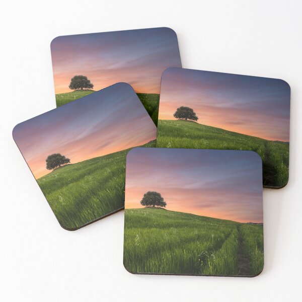 Item preview, Solitary Holm Oak Against Fiery Tuscan Sunset in Siena Countryside designed and sold by Stefano Orazzini.