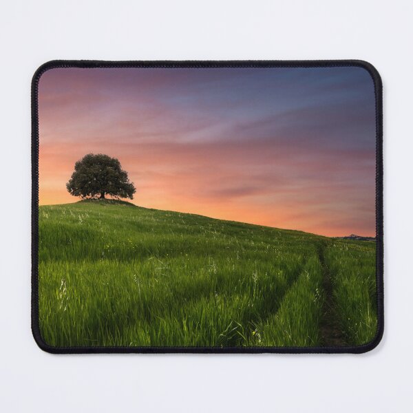 Item preview, Solitary Holm Oak Against Fiery Tuscan Sunset in Siena Countryside designed and sold by Stefano Orazzini.