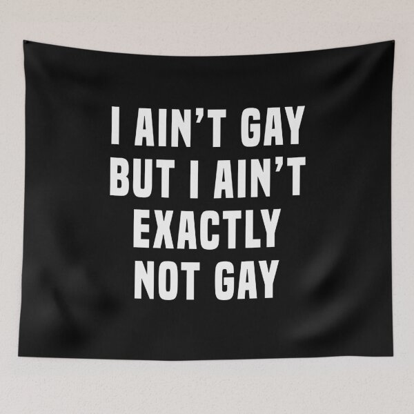 Item preview, I ain't gay but I ain't exactly not gay designed and sold by JanessaHardi.