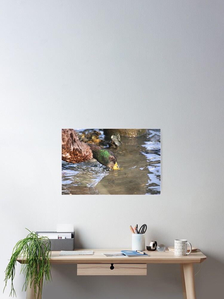 Thumbnail 2 of 3, Poster, To Fish designed and sold by Serinidia.