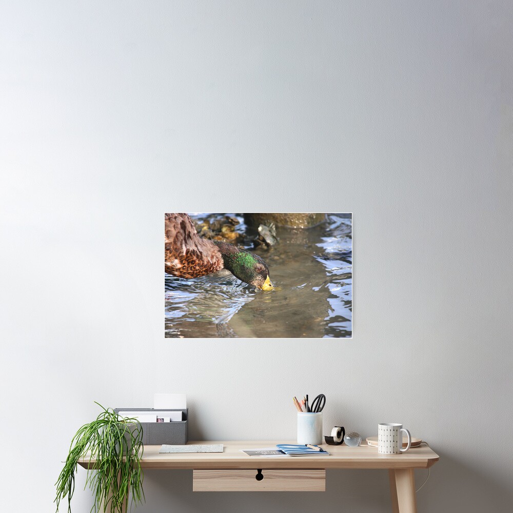Item preview, Poster designed and sold by Serinidia.