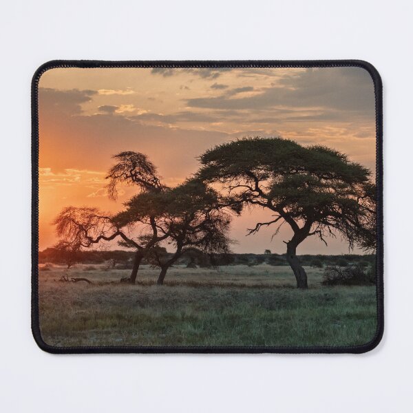 Item preview, Quiet savanna sunset, acacia trees in Botswana designed and sold by DavideAntoniani.