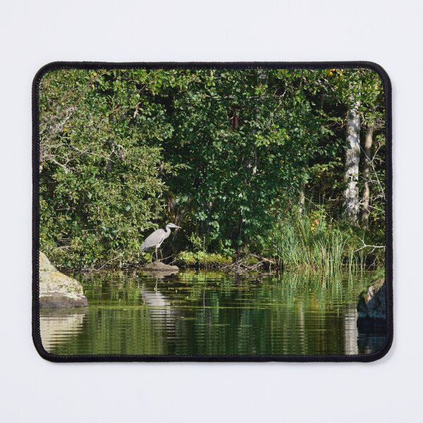 Item preview, Out from the shadows. Grey heron 2025 designed and sold by Jouko Lehto Photography.