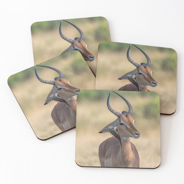 Item preview, Quiet Partnership, Impala with Oxpecker in the Grasslands designed and sold by DavideAntoniani.