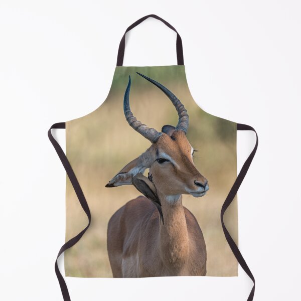 Item preview, Quiet Partnership, Impala with Oxpecker in the Grasslands designed and sold by DavideAntoniani.