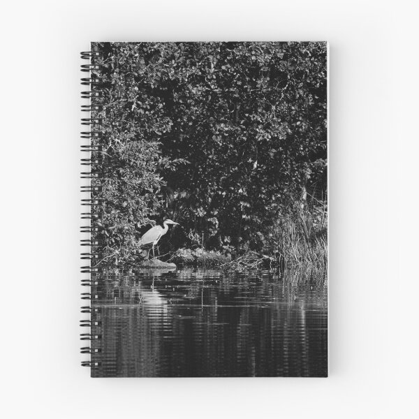 Item preview, Out from the shadows. Grey heron 2025 bw designed and sold by Jouko Lehto Photography.