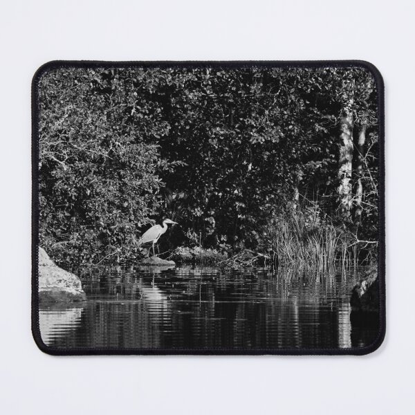 Item preview, Out from the shadows. Grey heron 2025 bw designed and sold by Jouko Lehto Photography.
