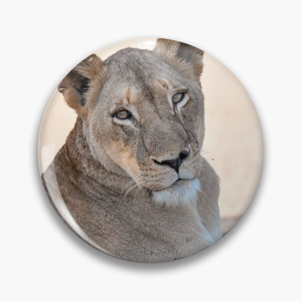 Item preview, Lioness of Moremi, Dawn Watch, Botswana designed and sold by DavideAntoniani.