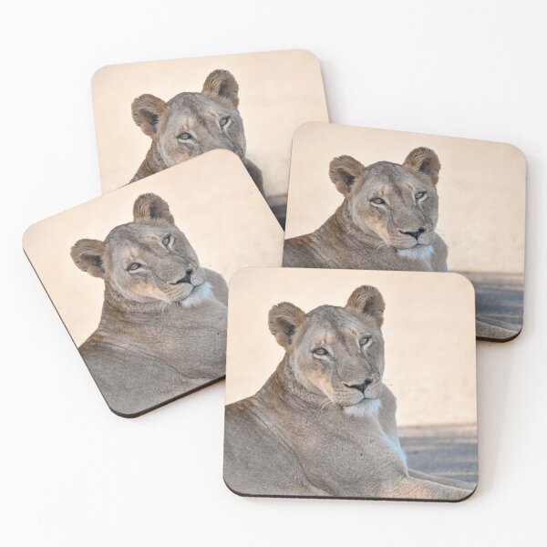 Item preview, Lioness of Moremi, Dawn Watch, Botswana designed and sold by DavideAntoniani.