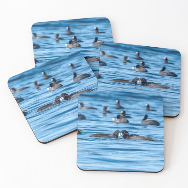 Item preview, Trio of American Coots putting their heads together designed and sold by lisavonbiela.
