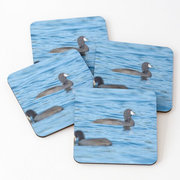 Item preview, Detailed view of American Coot designed and sold by lisavonbiela.