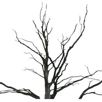Artwork thumbnail, Patjhad by PoojasGlam