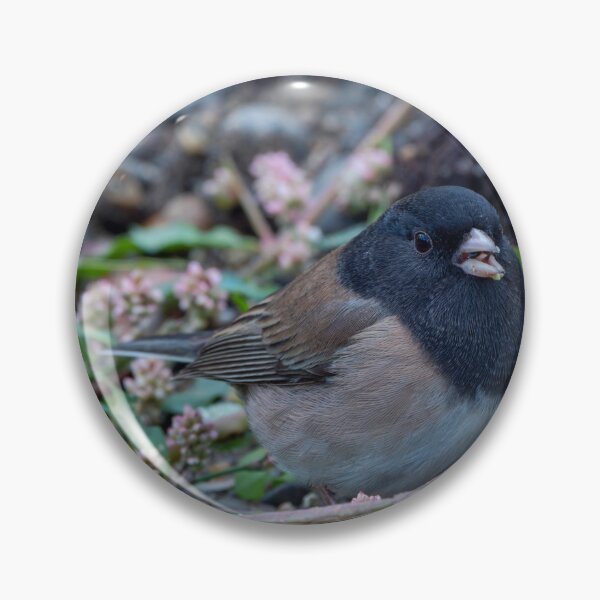Item preview, Dark-eyed Junco feeding on the ground designed and sold by lisavonbiela.