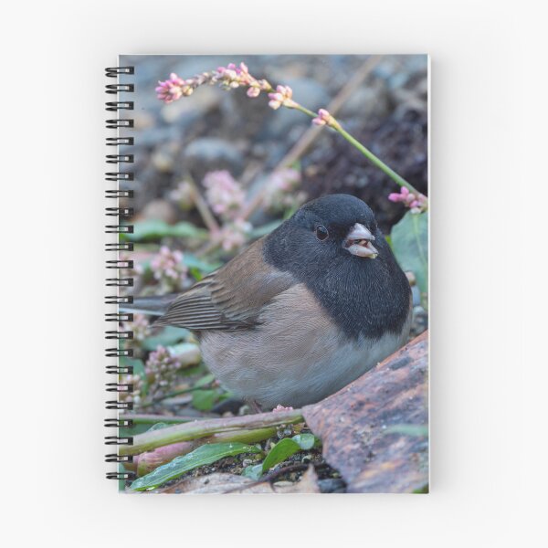Item preview, Dark-eyed Junco feeding on the ground designed and sold by lisavonbiela.