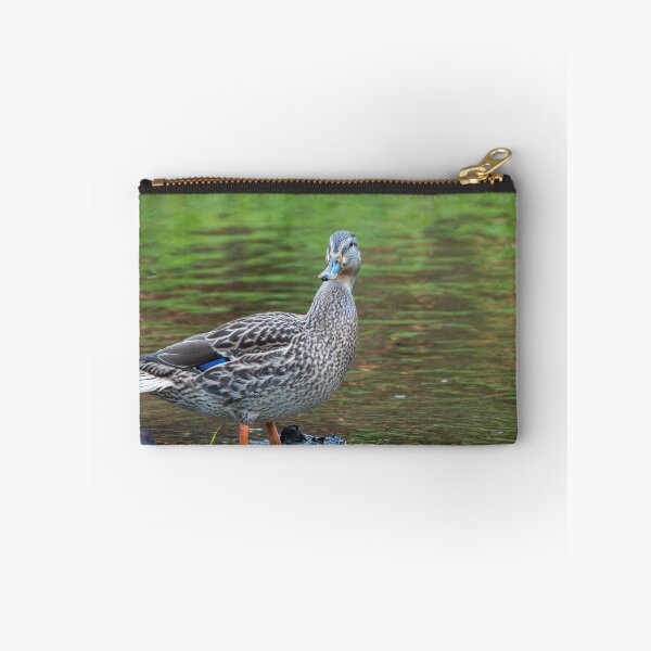 Item preview, Female Mallard duck standing beside Issaquah Creek in the late afternoon designed and sold by lisavonbiela.