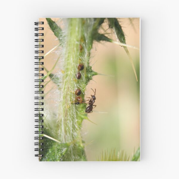 Item preview, Farmer ant designed and sold by GreyFeatherPhot.