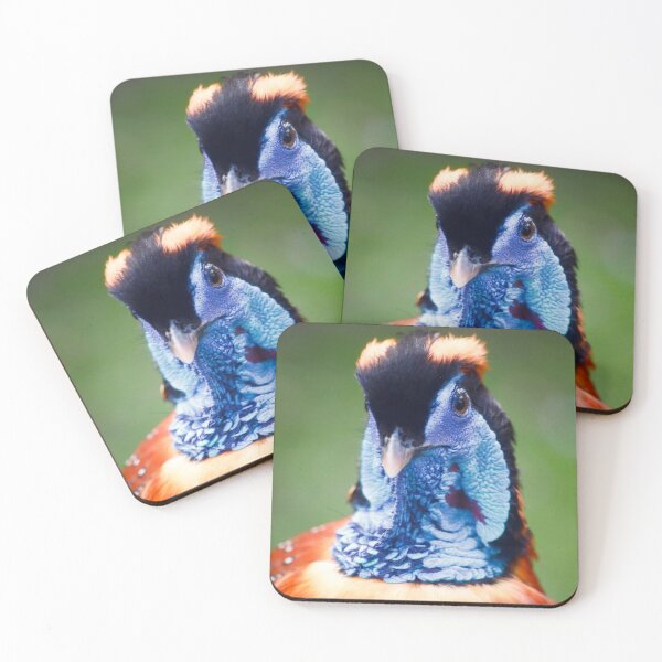 Item preview, Temminck’s Tragopan designed and sold by Charles Oliver Creations.
