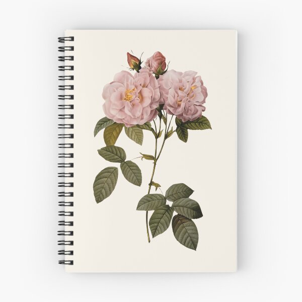 Item preview, Vintage Botanical Roses – Pink Garden Flowers designed and sold by buglevel.