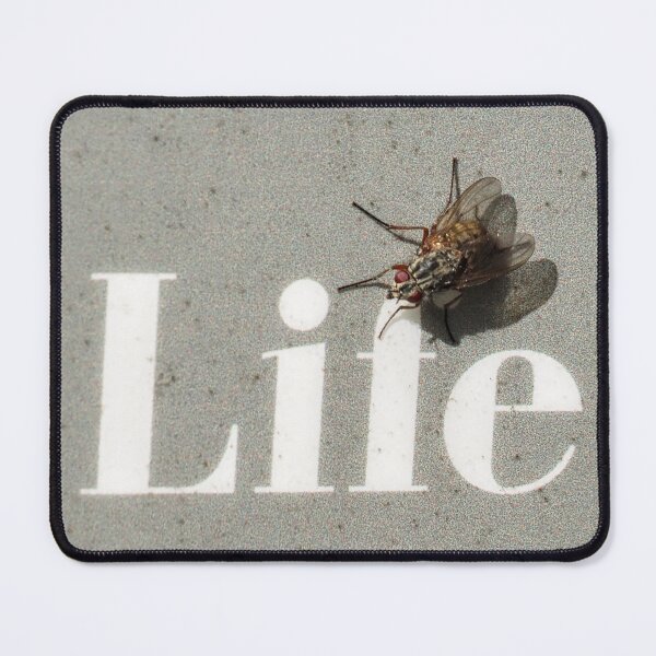 Item preview, Life fly life fly  designed and sold by Thoughtfulbugs.