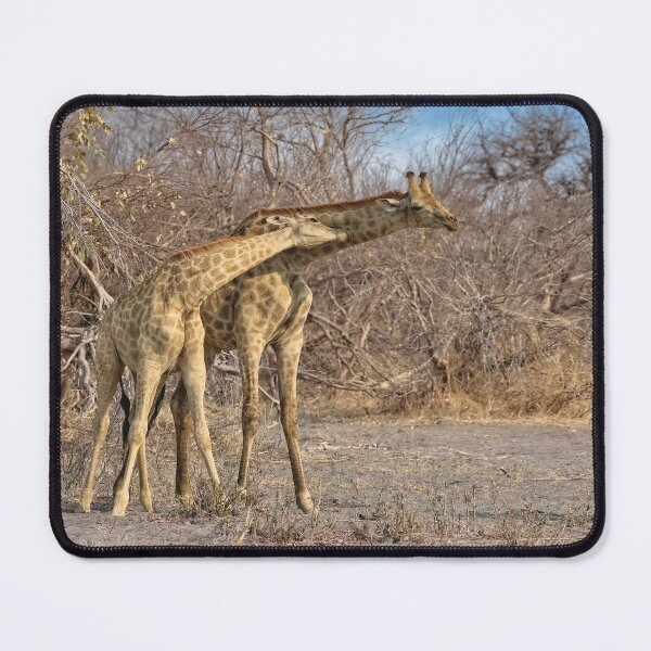 Item preview, Necking Giraffes designed and sold by Kay Brewer.