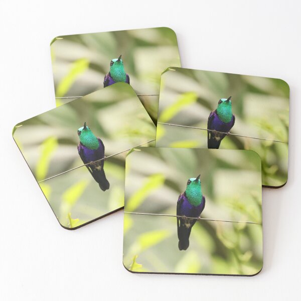 Item preview, Green-crowned Woodnymph with attitude! designed and sold by LBWildArt.