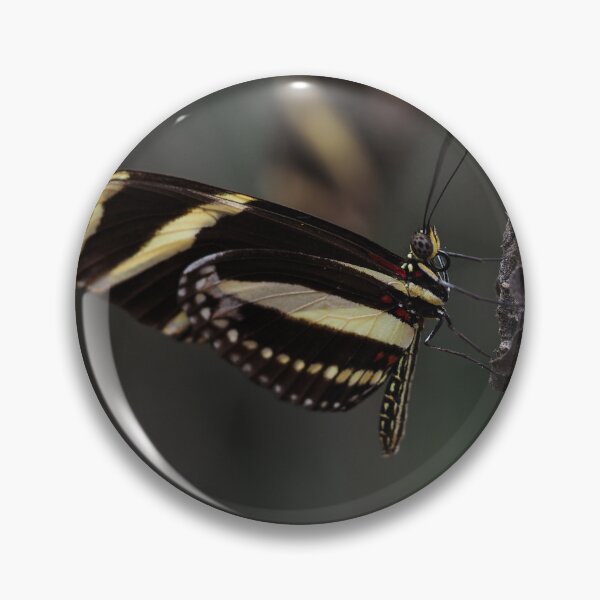 Item preview, Zebra Longwing Butterfly Resting on Twig designed and sold by Por.Ahi.PR.