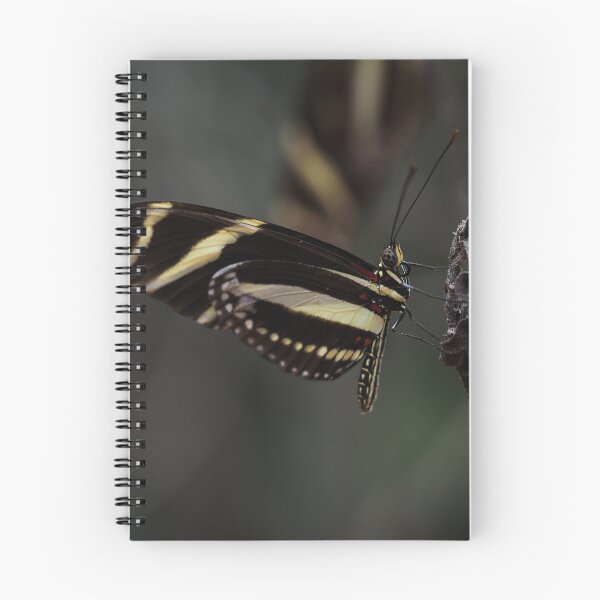 Item preview, Zebra Longwing Butterfly Resting on Twig designed and sold by Por.Ahi.PR.