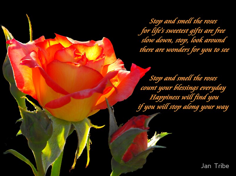 "Remember to Stop and Smell the Roses" by Jan Tribe Redbubble