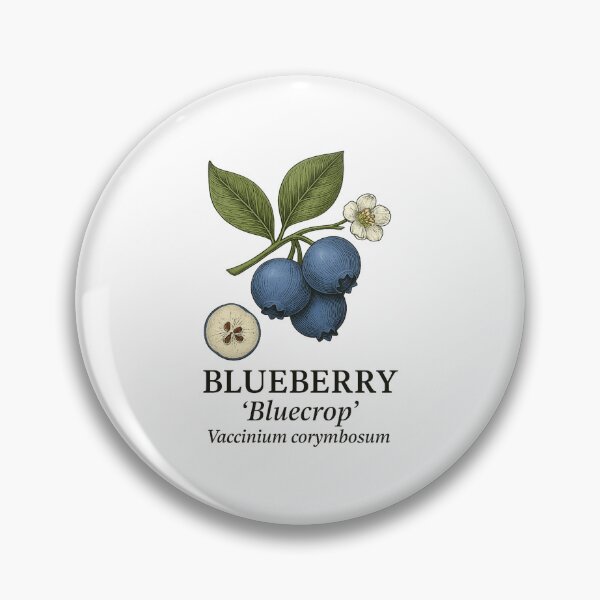Item preview, Blueberry ‘Bluecrop’ – Vaccinium corymbosum designed and sold by BloomKind.