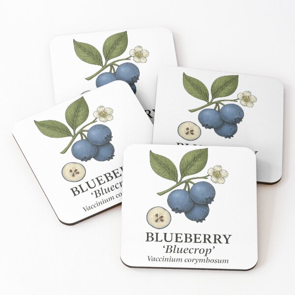 Item preview, Blueberry ‘Bluecrop’ – Vaccinium corymbosum designed and sold by BloomKind.