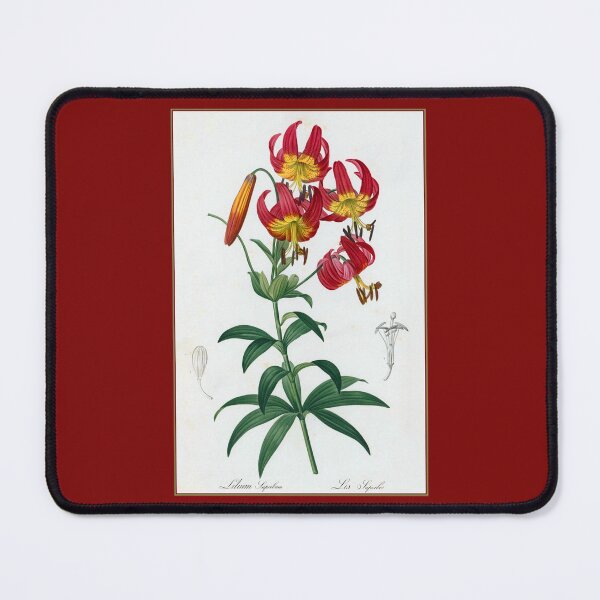 Item preview, Pierre-Joseph Redouté: Lilium Superbum designed and sold by Tridentulus.