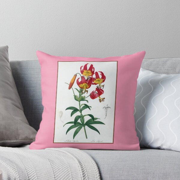 Aperçu de l'œuvre Pierre-Joseph Redouté : Lilium Superbum créée et vendue par Tridentulus.