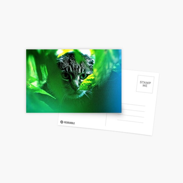 My F A V O R I T S ! Warrior Cats Theme Songs . by Brown Sugar . Tribute to Wild World - Cat Stevens . VIEWS 5074. Featured . MYSTERIES OF THE PAST AND PRESENT . Has been sold. Postcard