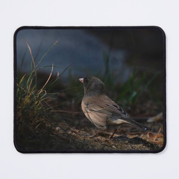 Item preview, Dark-Eyed Junco designed and sold by Jeffrey Ralph.