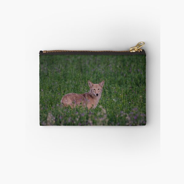 Item preview, Coyote designed and sold by Jeffrey Ralph.
